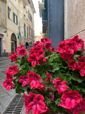 casa vicino al mare Finale Ligure